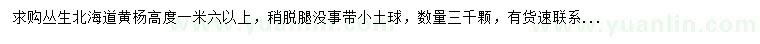 求購高1.6米以上叢生北海道黃楊