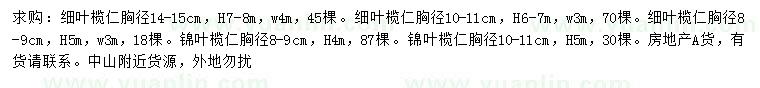 求購胸徑8-9、10-11、14-15公分細(xì)葉欖仁、胸徑8-9、10-11公分錦葉欖仁