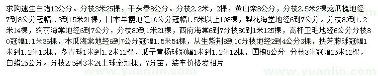 求購速生白蠟、欒樹、黃山欒樹等
