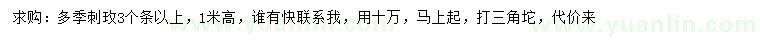 求購(gòu)高1米刺玫