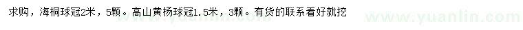 求購(gòu)冠2米海桐球、冠1.5米高山黃楊球