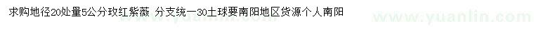 求購(gòu)地徑20處量5公分玫紅紫薇