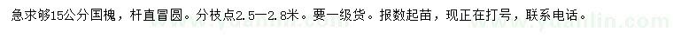 求購15公分國槐