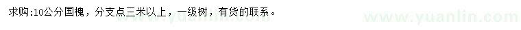 求購10公分國槐