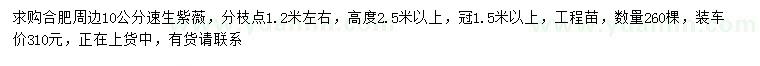 求購10公分速生紫薇