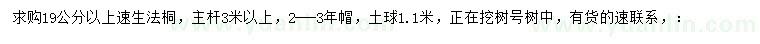 求購19公分以上速生法桐