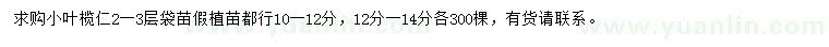 求購(gòu)10-12、12-14公分小葉欖仁