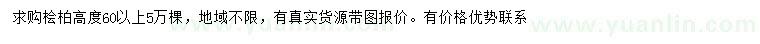 求購高60公分以上檜柏