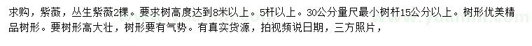 求購高8米以上紫薇、叢生紫薇
