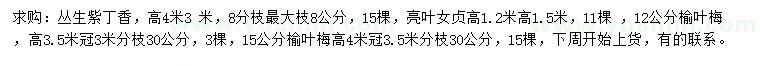 求購(gòu)叢生紫丁香、亮葉女貞、榆葉梅等
