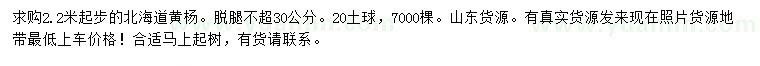 求購2.2米以上北海道黃楊