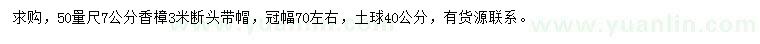 求購50公分量7公分香樟