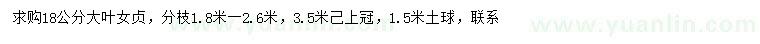 求購(gòu)18公分大葉女貞