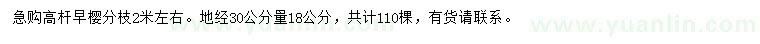 求購30公分量18公分早櫻