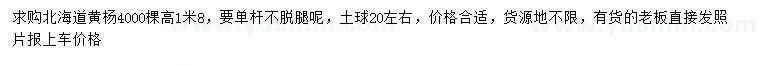求購高1.8米北海道黃楊