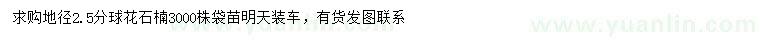 求購地徑2.5公分球花石楠