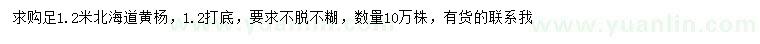求購1.2米北海道黃楊