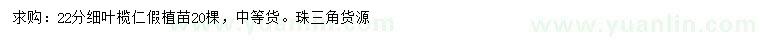 求購22公分細(xì)葉欖仁