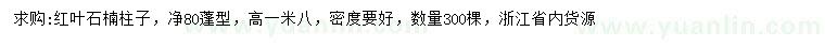 求購高1.8米紅葉石楠柱