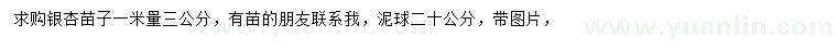求購1米量3公分銀杏