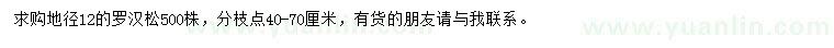 求購地徑12公分羅漢松