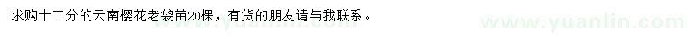 求購12公分云南櫻花