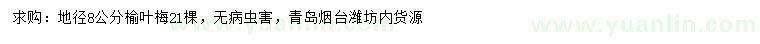 求購(gòu)地徑8公分榆葉梅
