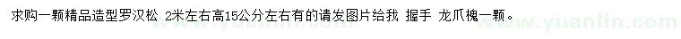 求購15公分羅漢松、龍爪槐