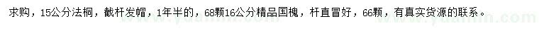求購15公分法桐、16公分國槐