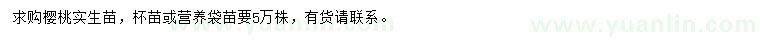 求購櫻桃