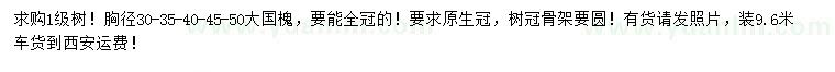 求購(gòu)胸徑30、35、40、45、50公分國(guó)槐