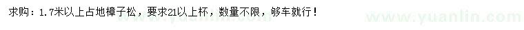 求購1.7米以上樟子松