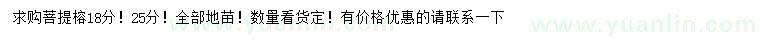 求購18、25公分菩提榕