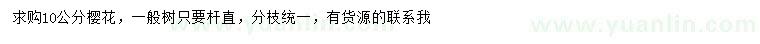 求購10公分櫻花