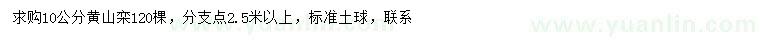 求購10公分黃山欒