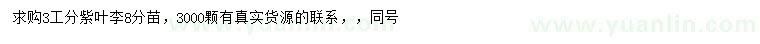 求購3公分紫葉李