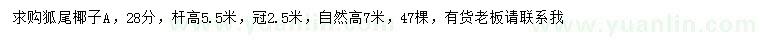 求購28公分狐尾椰子