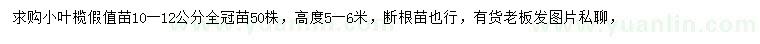 求購10-12公分小葉欖仁