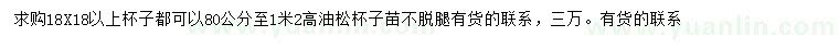 求購高80公分-1.2米油松
