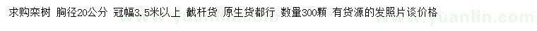 求購胸徑20公分欒樹