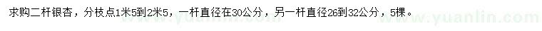 求購(gòu)二桿銀杏