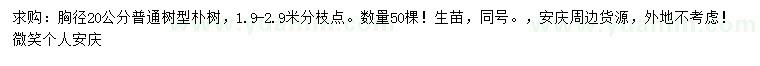 求購胸徑20公分樸樹(shù)