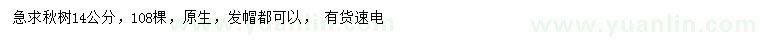 求購14公分楸樹
