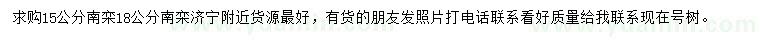 求購15-18公分南欒