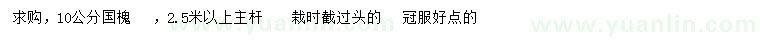 求購10公分國槐