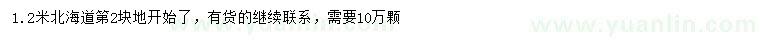 求購1.2米北海道黃楊
