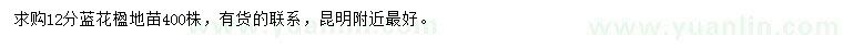 求購(gòu)12公分藍(lán)花楹