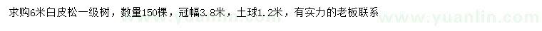 求購6米白皮松