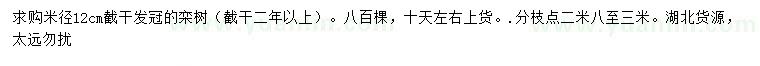 求購米徑12公分欒樹