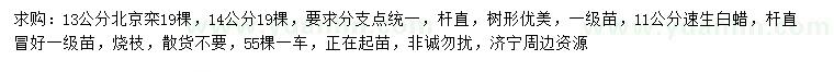 求購13、14公分北京欒、11公分速生白蠟